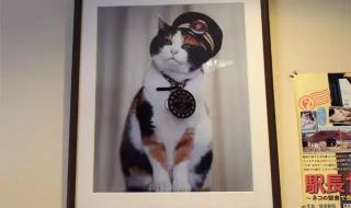 现在人气最高的传奇