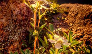 人生路上坎坷多 人生路上坎坷多